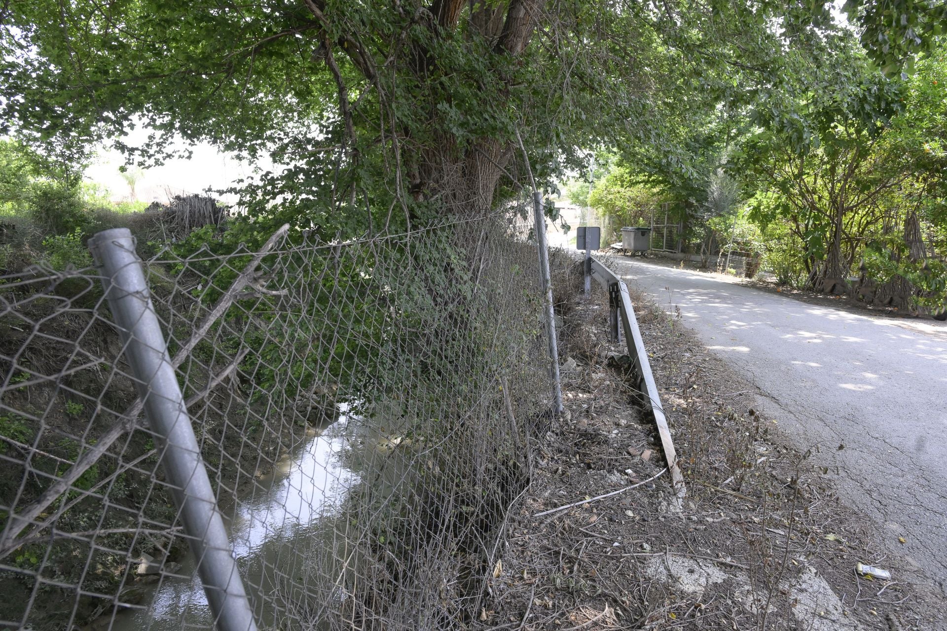 Desperfectos, falta de servicios y plagas en Aljucer, en imágenes