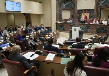 La tramitación de las cuentas parará un mes la actividad de la Asamblea al final del curso