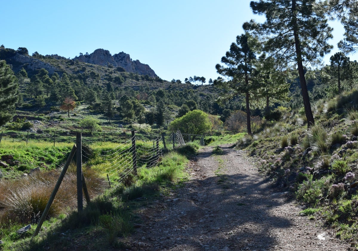 Mejoras en caminos para prevenir incendios forestales en Lorca