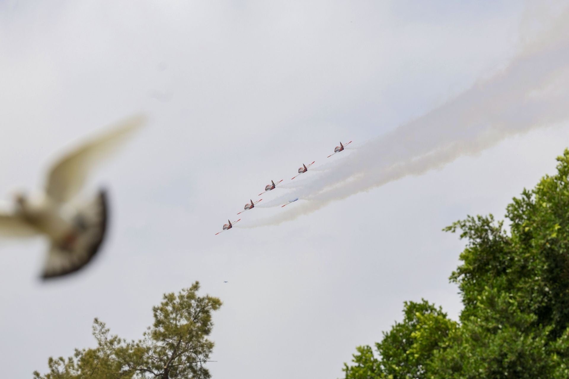 En imágenes, el vuelo de la Patrulla Águila sobre Murcia