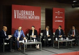 Mesa redonda. Manuel Buitrago moderó el coloquio en el que intervinieron César Vicente, Paula Nieto, Francisco Javier Pascual, Leonardo Pérez y Borja Fernández, ayer, en el Hotel Nelva de Murcia.