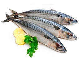 La caballa, un pez intimamente ligado al pasado romano de Cartagena