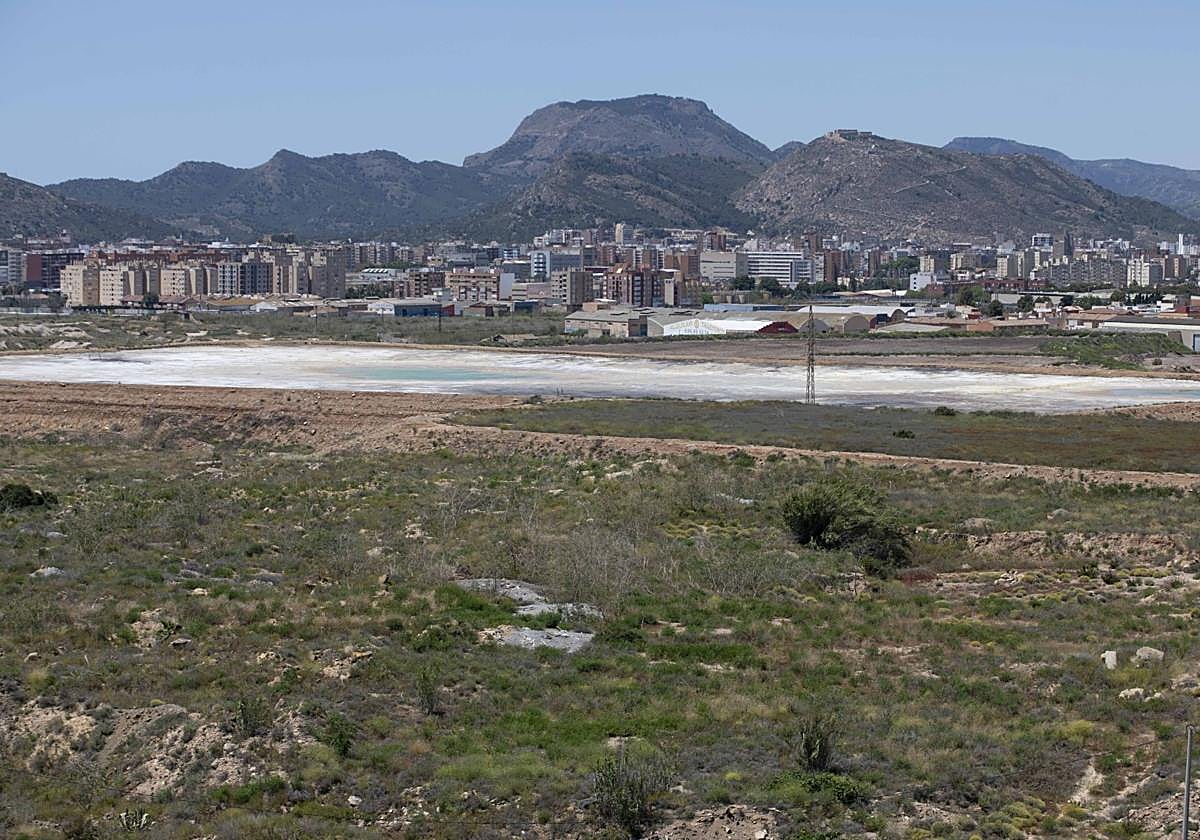 Terrenos de Zinsa, en una imagen de archivo.