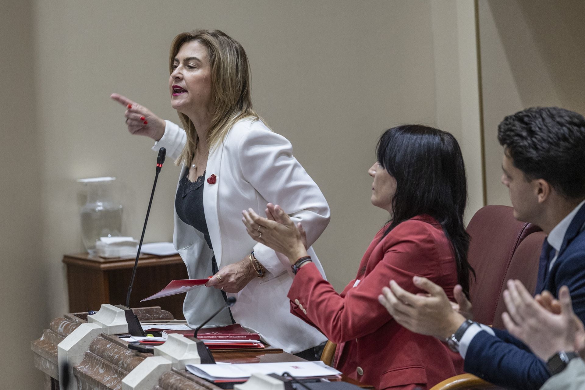 La aprobación del techo de gasto de la Comunidad para 2025, en imágenes