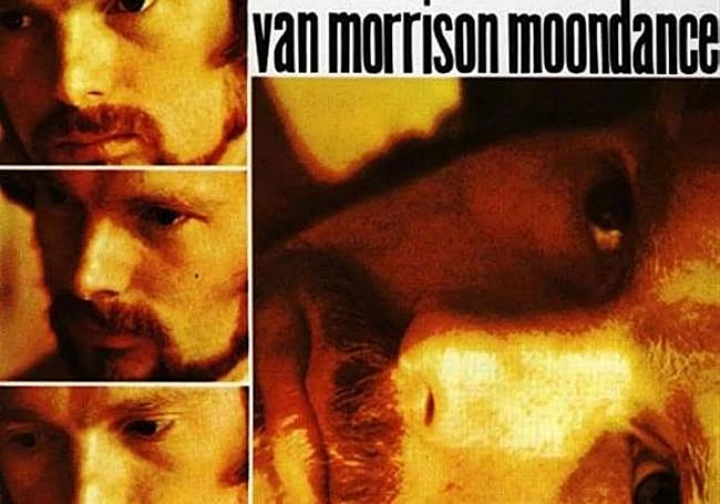 Detalle de la portada de 'Into the Mystic'.