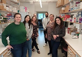 De izquierda a derecha, los investigadores del proyecto Mar Collado, Kyung Min Lee, Sara Lindén, John Benktander, Mahmoud Algnimi, Kristina Thomson y Licínia Santos.