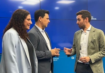 Luengo, sobre las «mordidas» en las obras del AVE y el soterramiento: «Saura y Lucas tendrán que dar explicaciones»