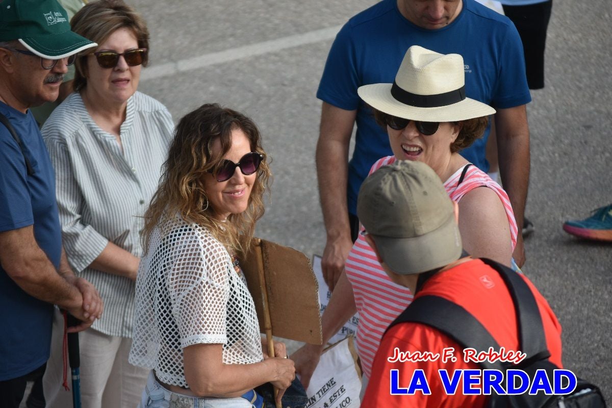 Imágenes de la marcha convocada por Plaza Nueva por la conexión ferroviaria con Albacete