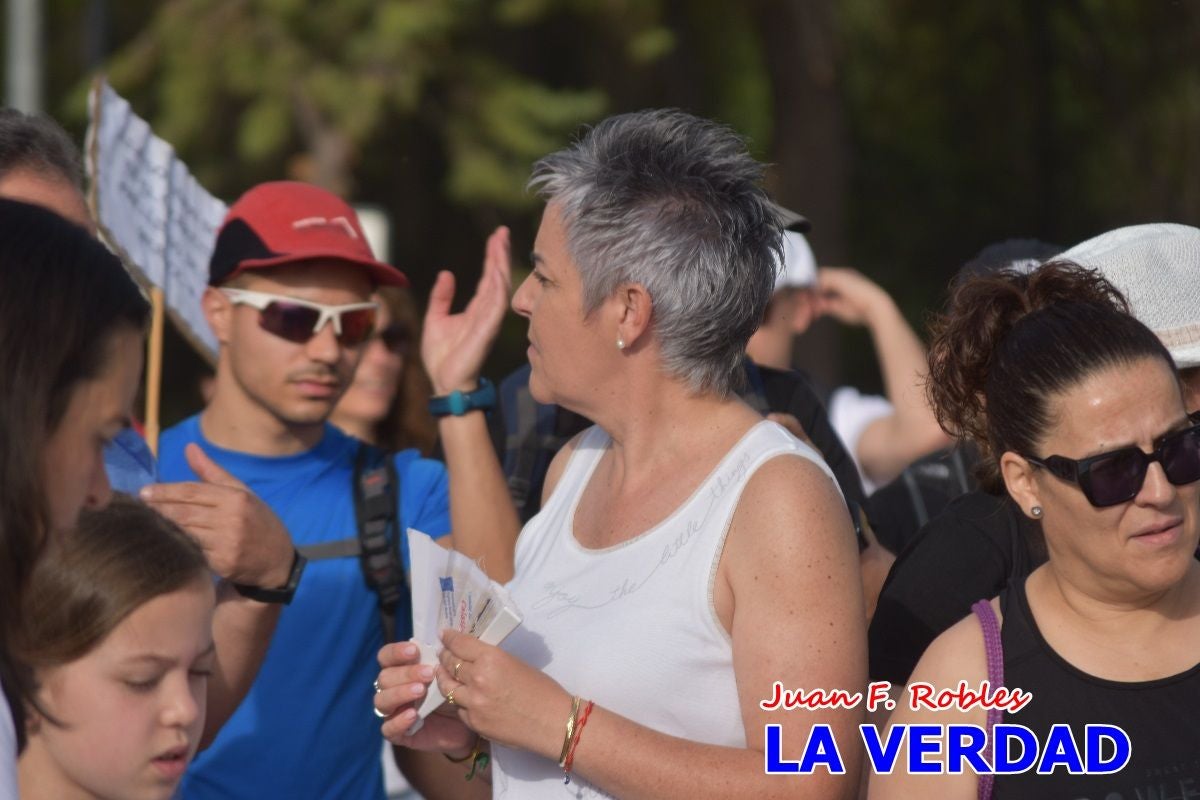 Imágenes de la marcha convocada por Plaza Nueva por la conexión ferroviaria con Albacete