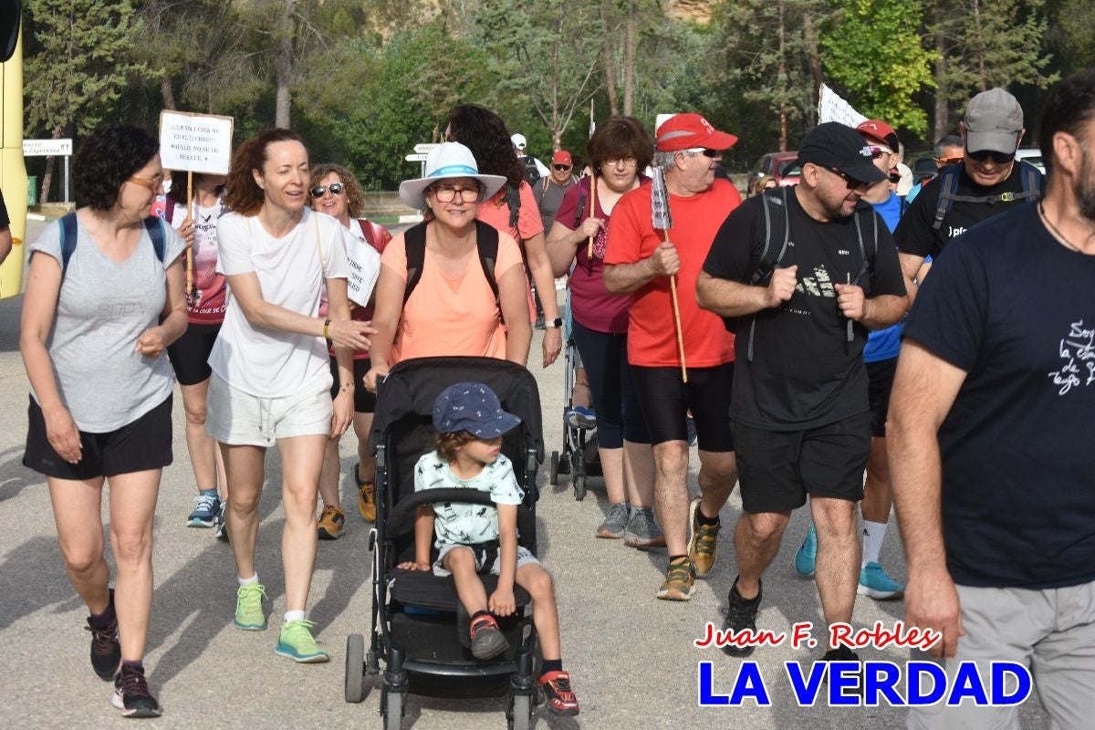 Imágenes de la marcha convocada por Plaza Nueva por la conexión ferroviaria con Albacete