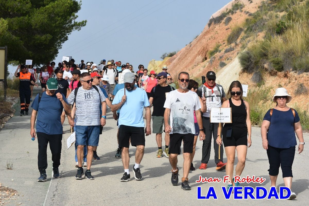 Imágenes de la marcha convocada por Plaza Nueva por la conexión ferroviaria con Albacete