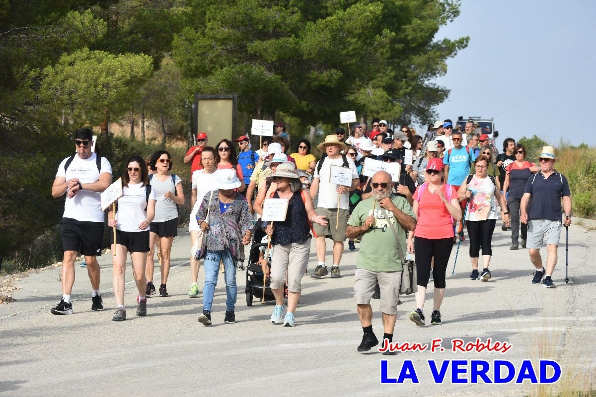 Imágenes de la marcha convocada por Plaza Nueva por la conexión ferroviaria con Albacete