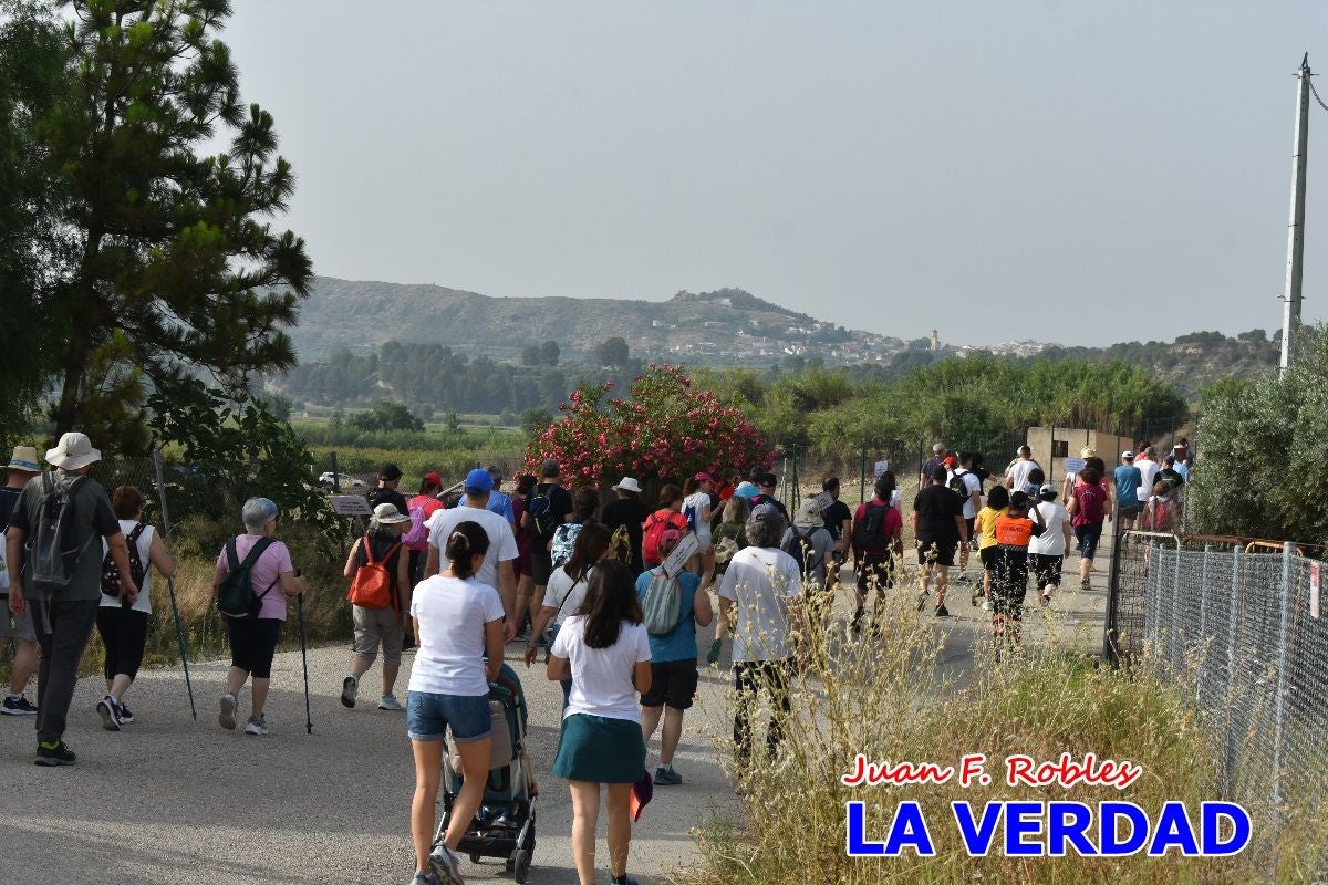 Imágenes de la marcha convocada por Plaza Nueva por la conexión ferroviaria con Albacete