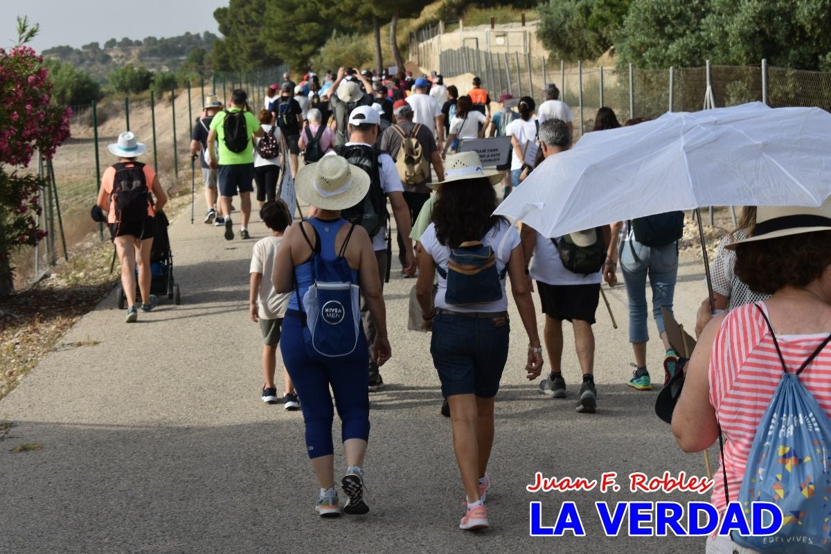 Imágenes de la marcha convocada por Plaza Nueva por la conexión ferroviaria con Albacete