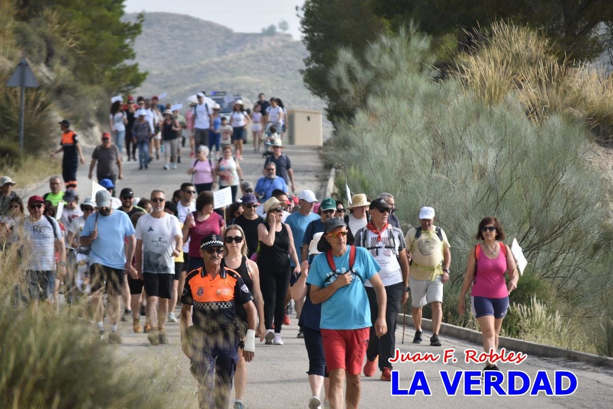 Imágenes de la marcha convocada por Plaza Nueva por la conexión ferroviaria con Albacete