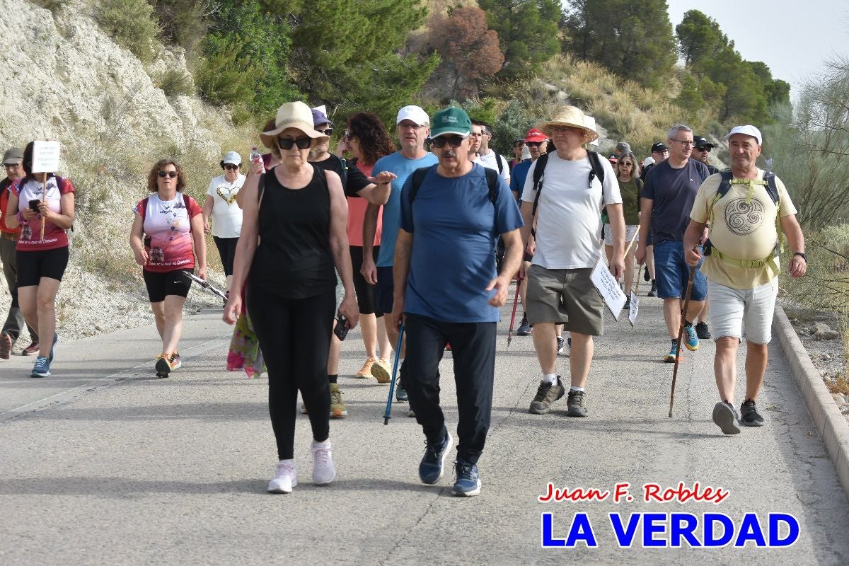 Imágenes de la marcha convocada por Plaza Nueva por la conexión ferroviaria con Albacete
