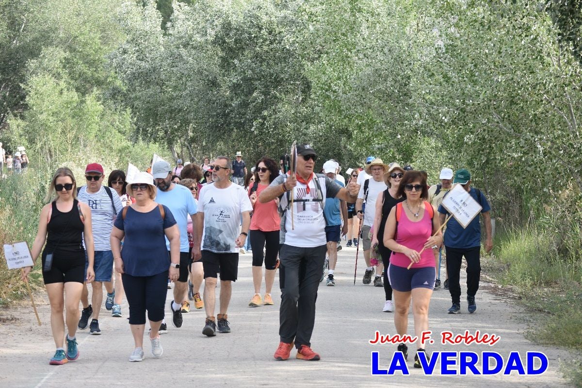 Imágenes de la marcha convocada por Plaza Nueva por la conexión ferroviaria con Albacete