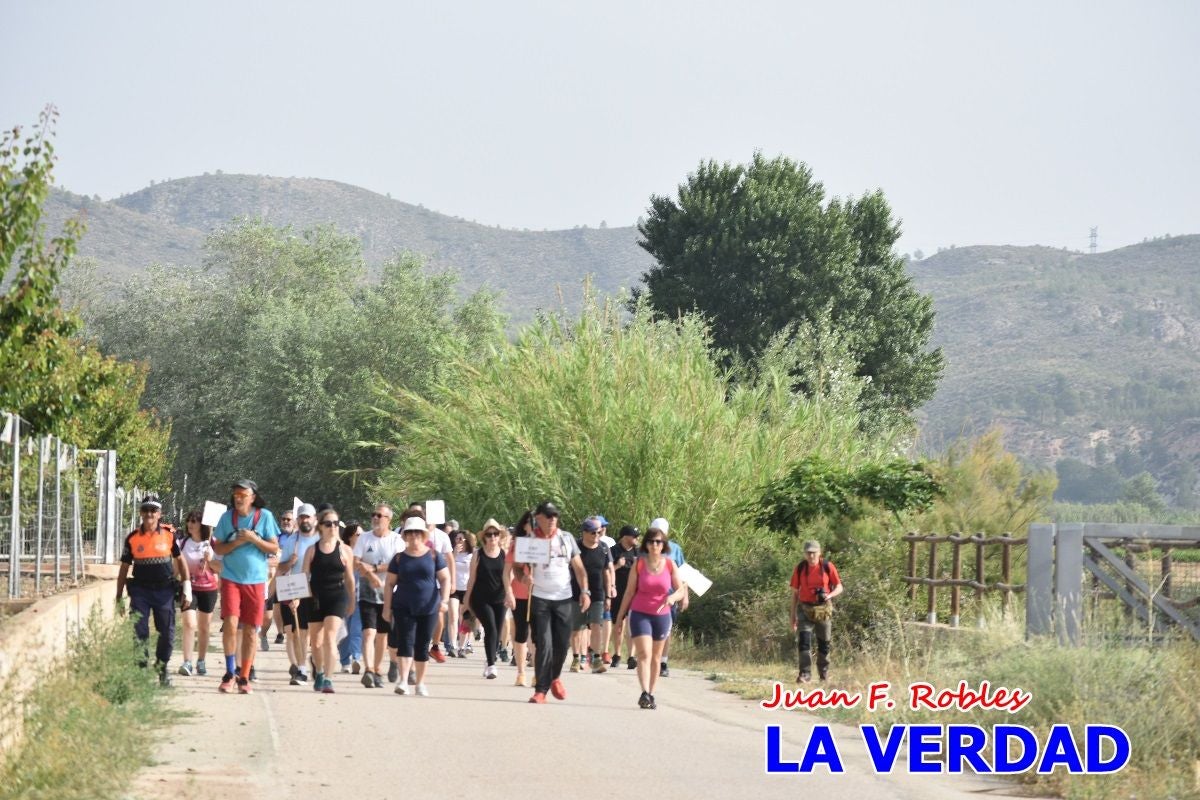 Imágenes de la marcha convocada por Plaza Nueva por la conexión ferroviaria con Albacete