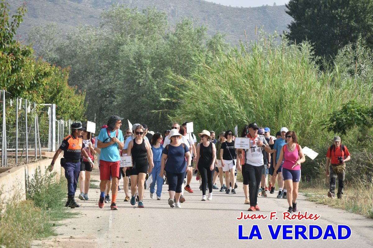 Imágenes de la marcha convocada por Plaza Nueva por la conexión ferroviaria con Albacete
