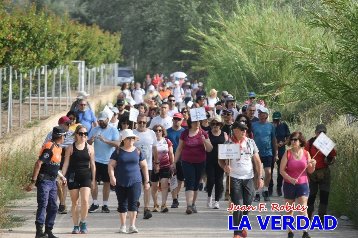 Imágenes de la marcha convocada por Plaza Nueva por la conexión ferroviaria con Albacete