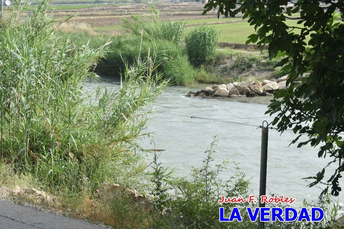 Imágenes de la marcha convocada por Plaza Nueva por la conexión ferroviaria con Albacete