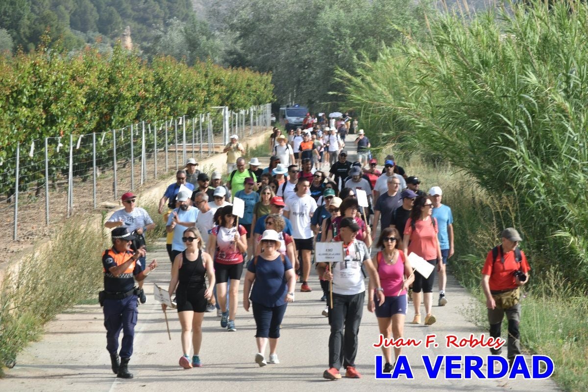 Imágenes de la marcha convocada por Plaza Nueva por la conexión ferroviaria con Albacete