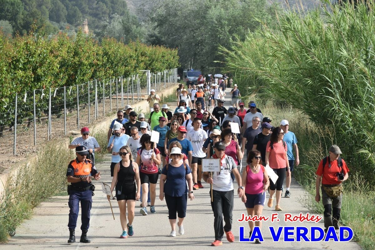 Imágenes de la marcha convocada por Plaza Nueva por la conexión ferroviaria con Albacete