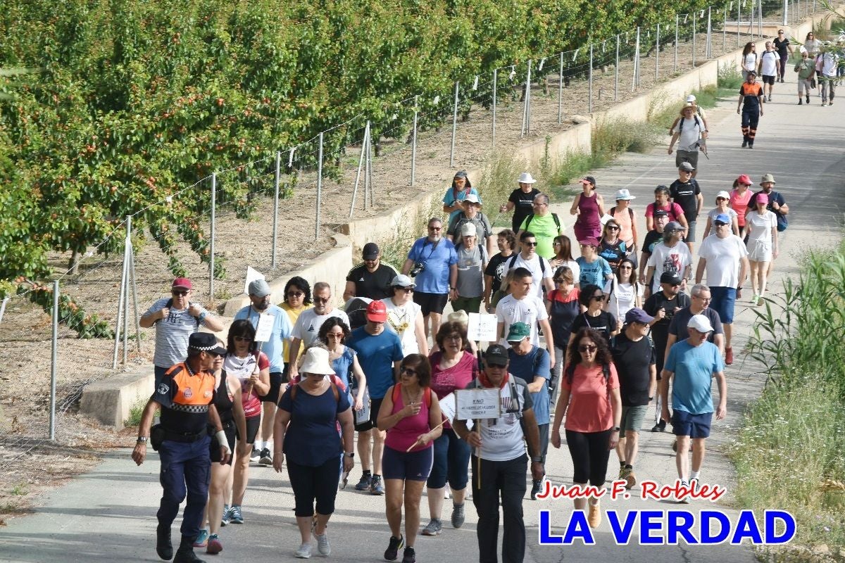 Imágenes de la marcha convocada por Plaza Nueva por la conexión ferroviaria con Albacete