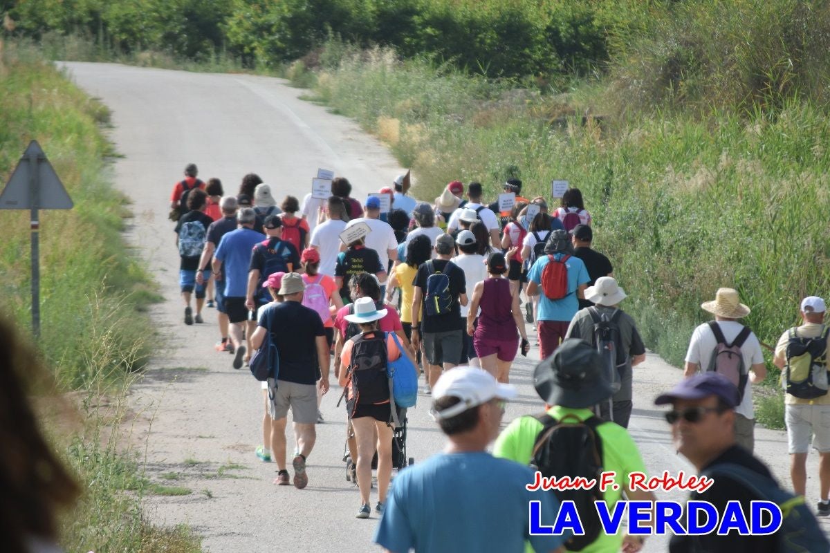 Imágenes de la marcha convocada por Plaza Nueva por la conexión ferroviaria con Albacete