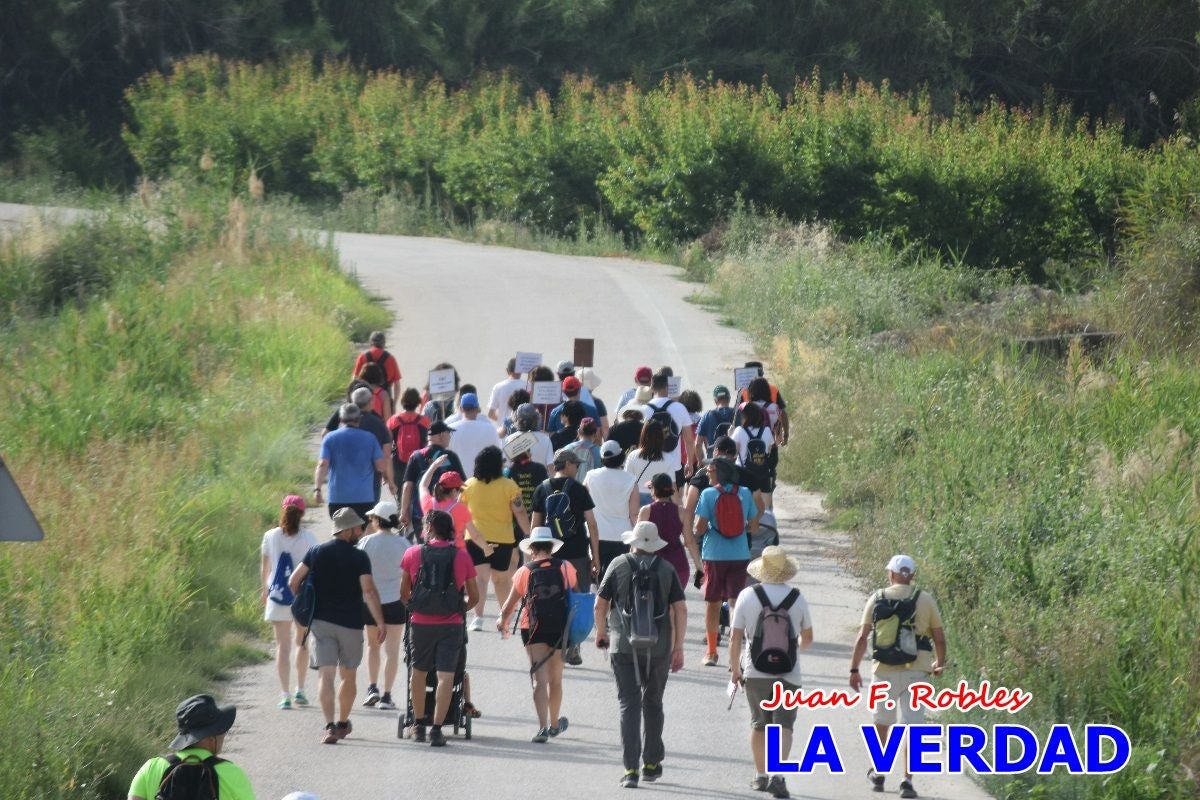 Imágenes de la marcha convocada por Plaza Nueva por la conexión ferroviaria con Albacete
