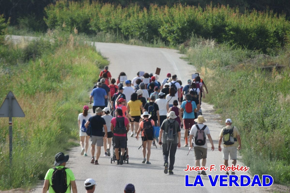 Imágenes de la marcha convocada por Plaza Nueva por la conexión ferroviaria con Albacete