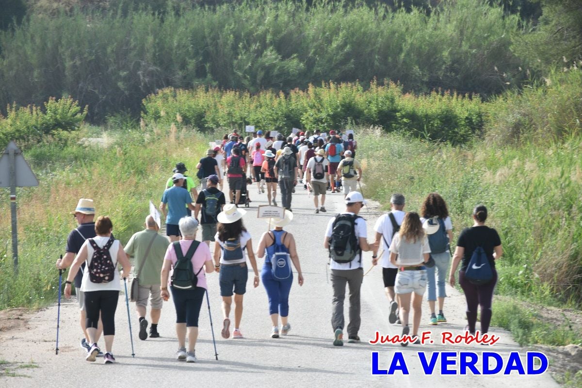 Imágenes de la marcha convocada por Plaza Nueva por la conexión ferroviaria con Albacete