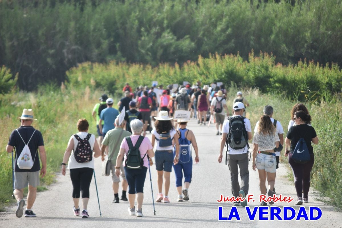 Imágenes de la marcha convocada por Plaza Nueva por la conexión ferroviaria con Albacete