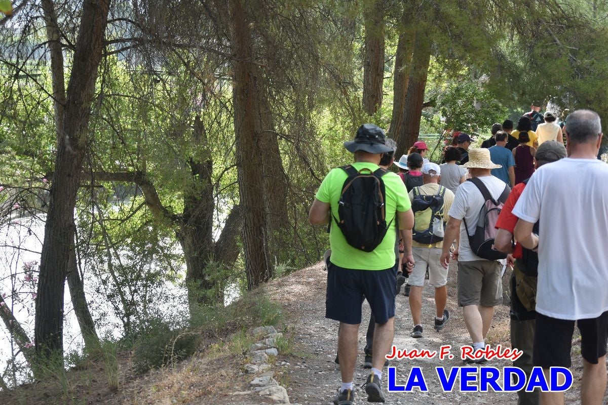 Imágenes de la marcha convocada por Plaza Nueva por la conexión ferroviaria con Albacete