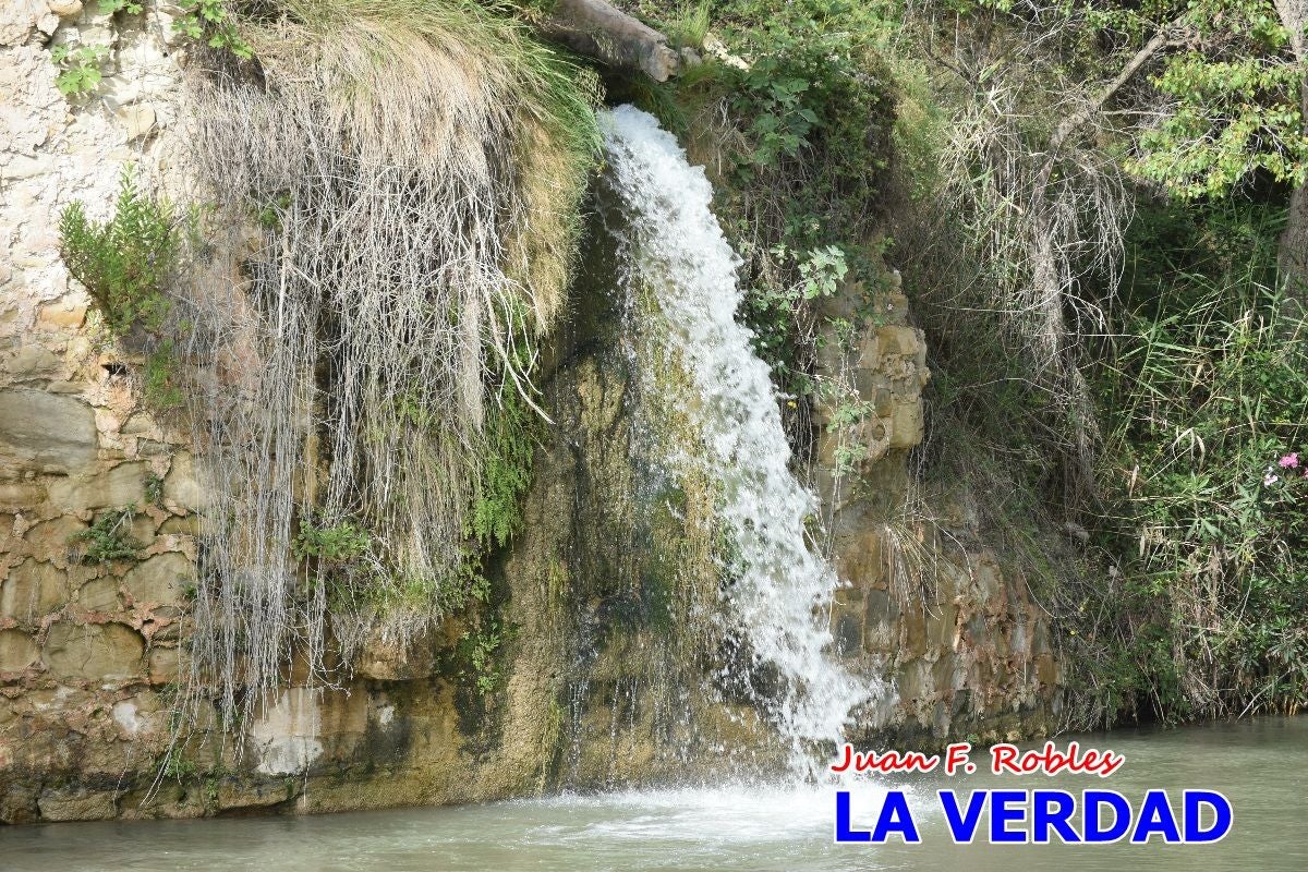 Imágenes de la marcha convocada por Plaza Nueva por la conexión ferroviaria con Albacete