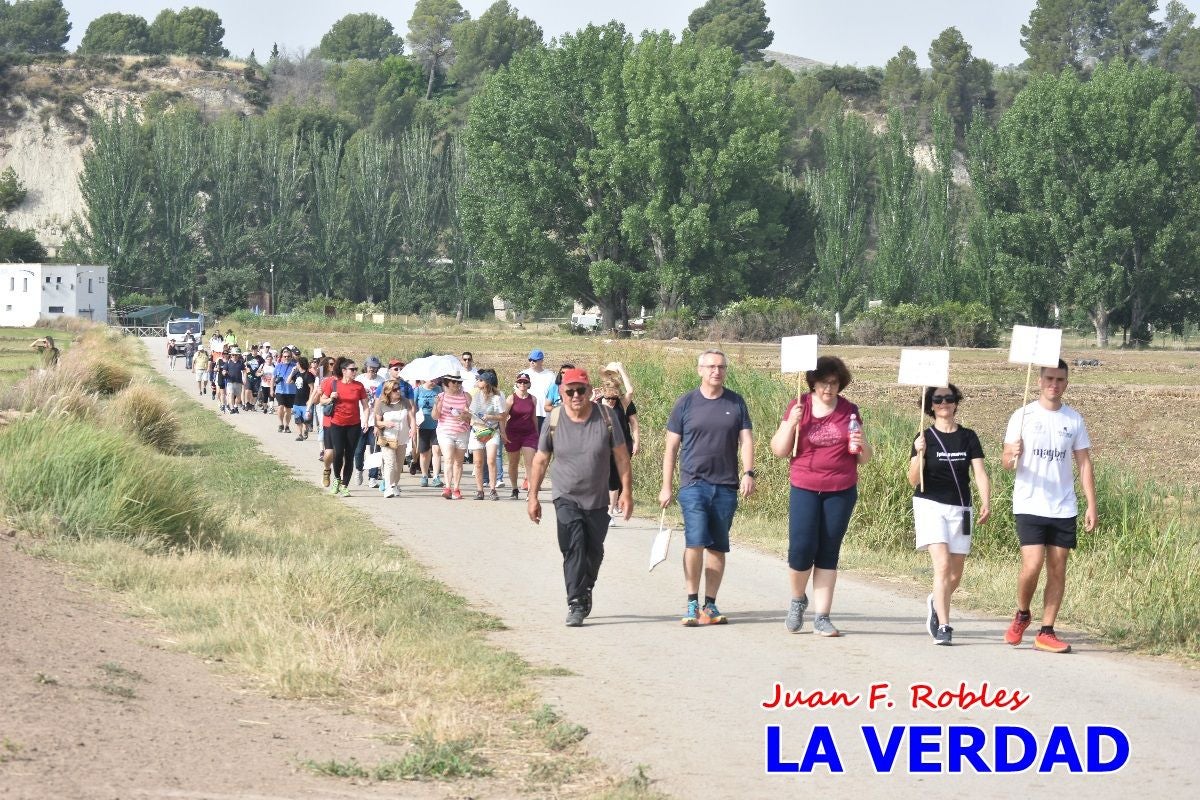 Imágenes de la marcha convocada por Plaza Nueva por la conexión ferroviaria con Albacete