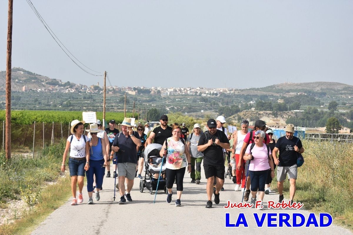 Imágenes de la marcha convocada por Plaza Nueva por la conexión ferroviaria con Albacete