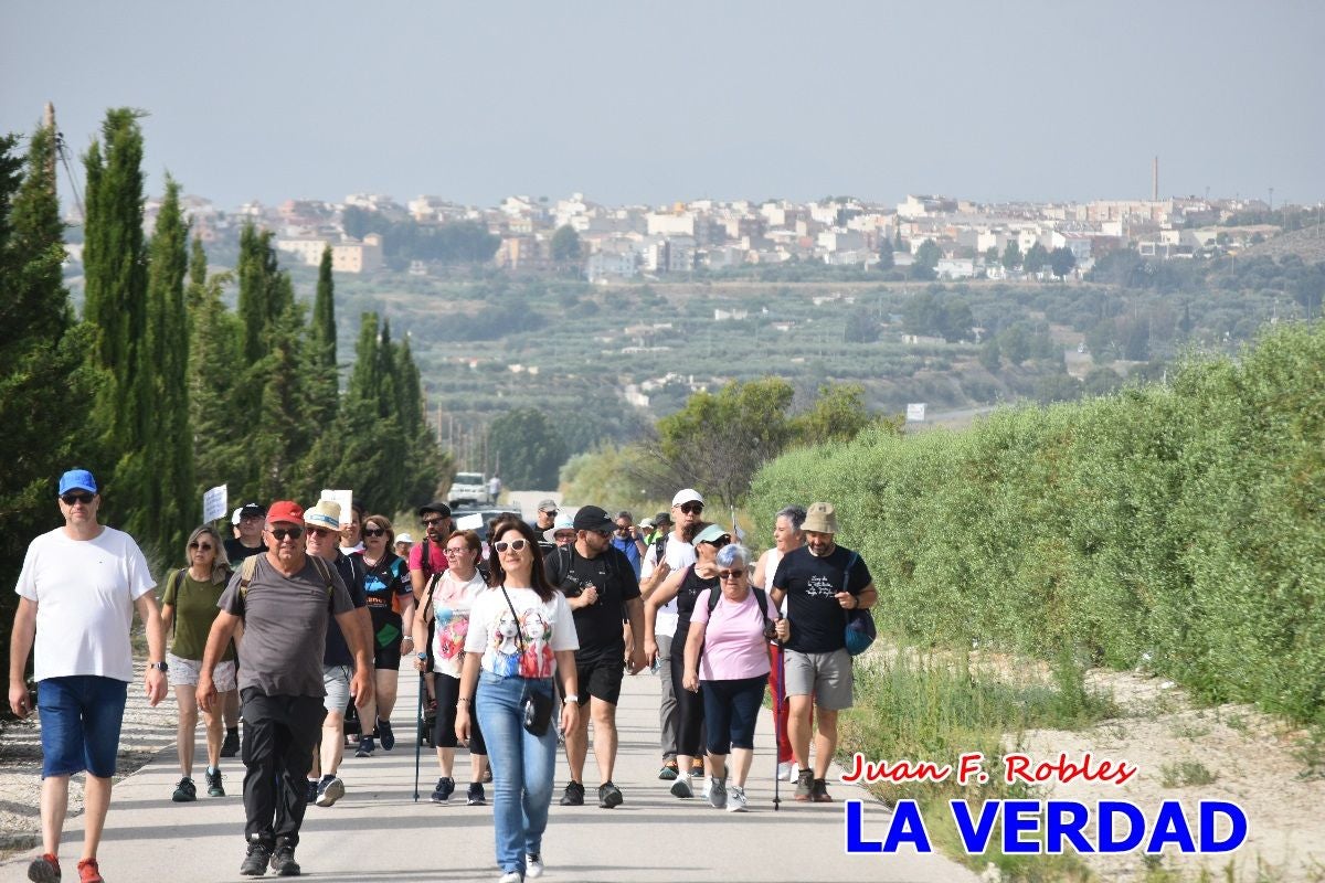 Imágenes de la marcha convocada por Plaza Nueva por la conexión ferroviaria con Albacete