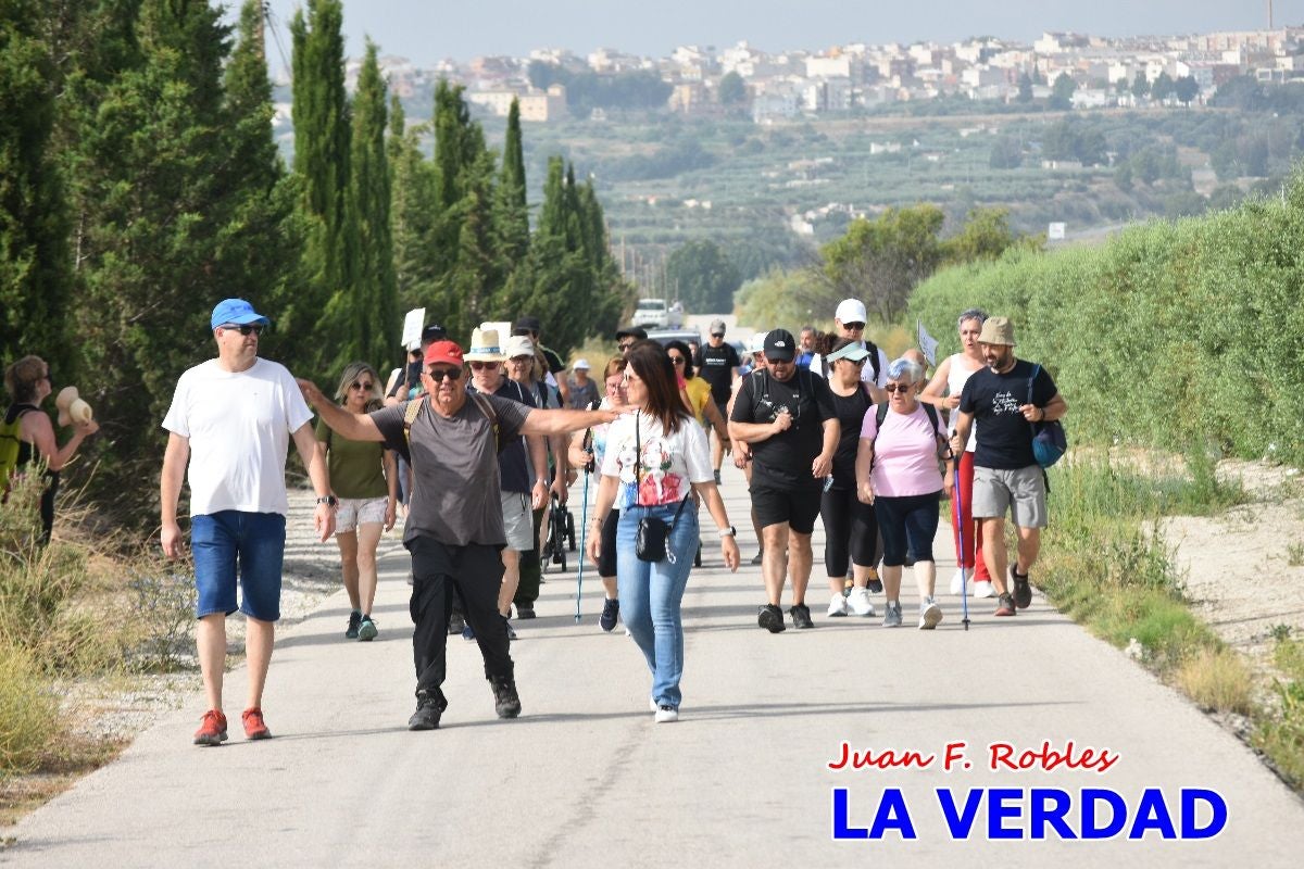 Imágenes de la marcha convocada por Plaza Nueva por la conexión ferroviaria con Albacete