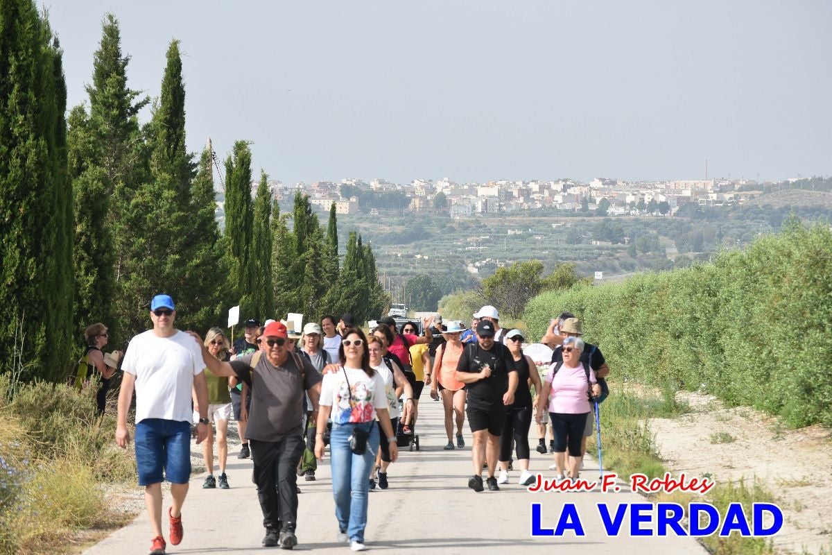 Imágenes de la marcha convocada por Plaza Nueva por la conexión ferroviaria con Albacete