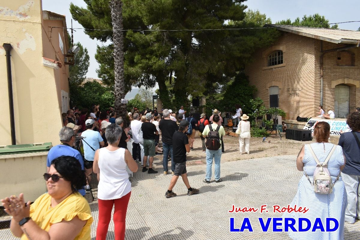 Imágenes de la marcha convocada por Plaza Nueva por la conexión ferroviaria con Albacete