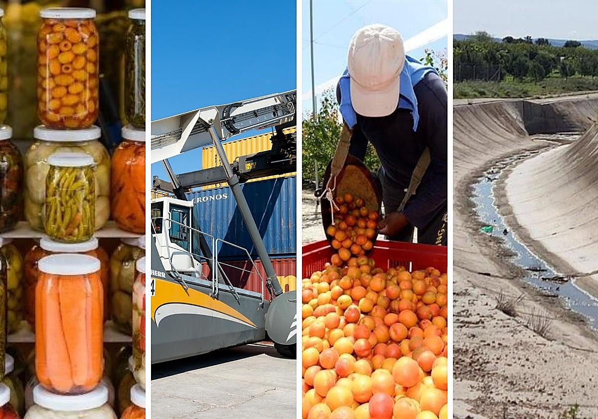 El empuje del sector agroalimentario representa ya el 22,4% del PIB regional