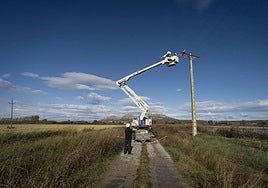 Un trabajador repara el tendido eléctrico, en una imagen de archivo.
