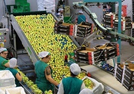 Las instalaciones de una cooperativa agroalimentaria, en una imagen de archivo.