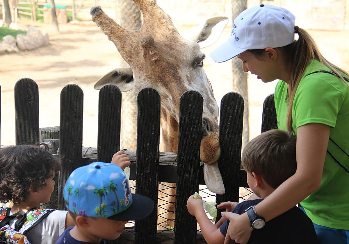 Un grupo de niños en las instalaciones del parque.
