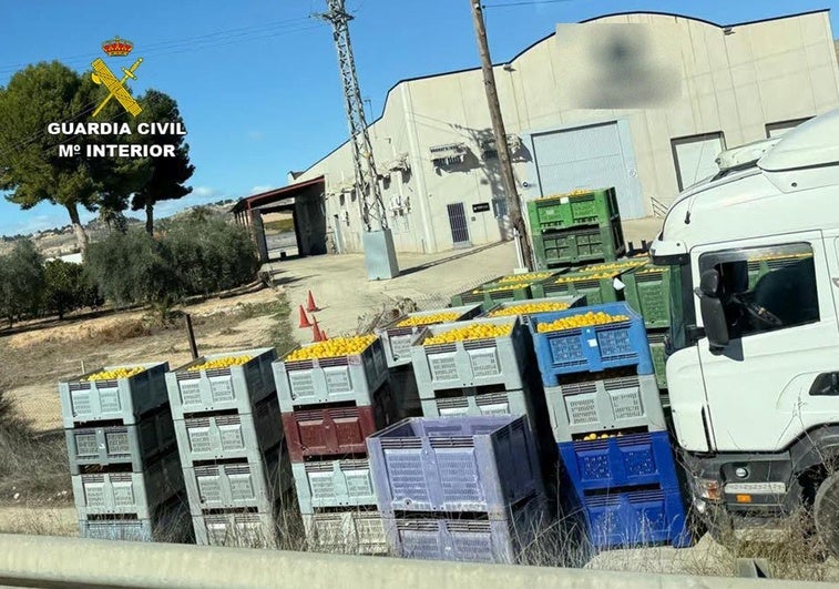 Algunos de los limones incautados por la Guardia Civil.