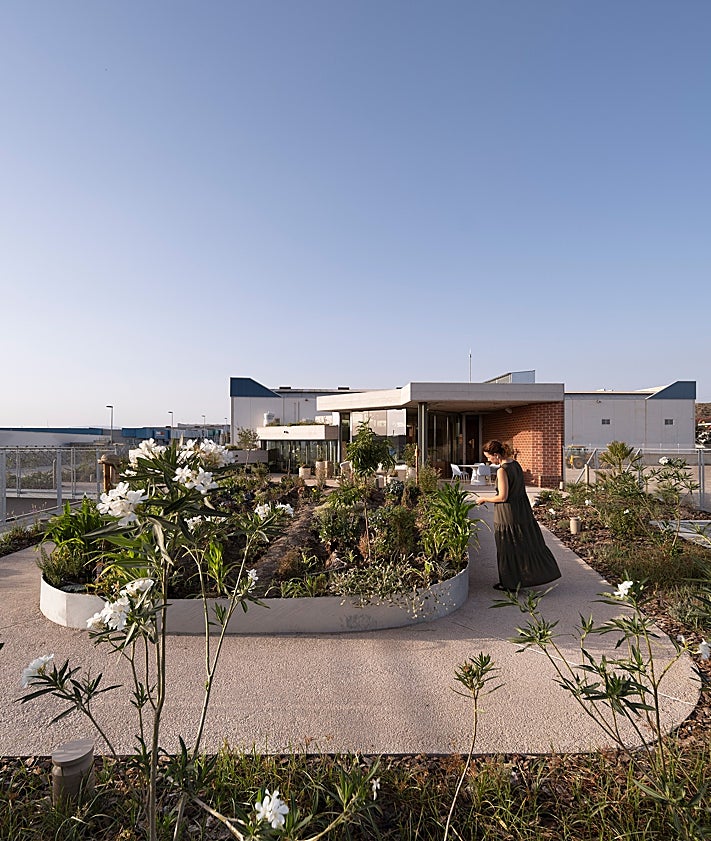 Imagen secundaria 2 - Vista exterior de jardines y fachada del edificio; vista del espacio ajardinado interior interior del edificio; huerto y cubierta ajardinada de la sede de VRIO en Molina de Segura. 