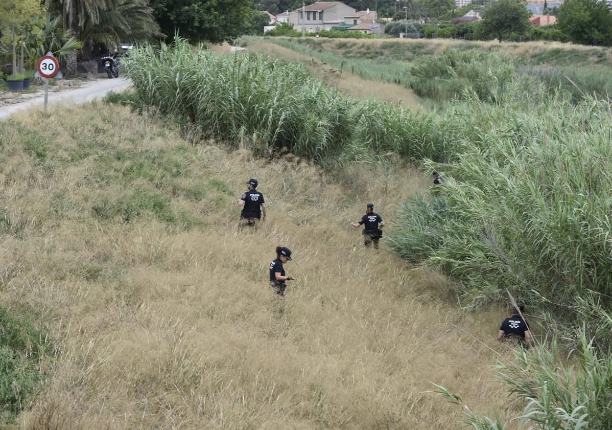 Imagen principal - Trabajos de rastreo, este miércoles, en el río Segura a su paso por Murcia.