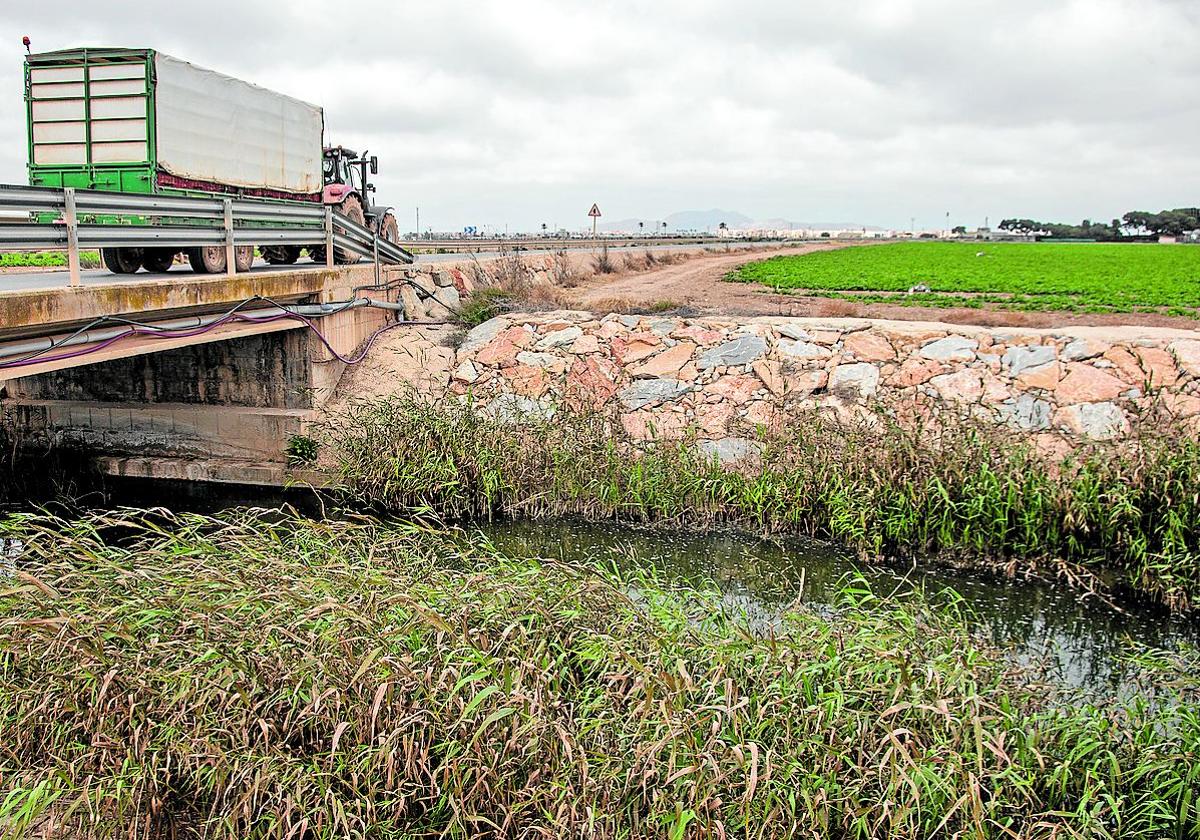 La rambla del Albujón y una finca agrícola, cerca de la depuradora de Torre Pacheco, en 2023.