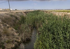 Rambla del Albujón.